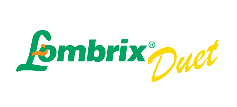 Fombrix Duet